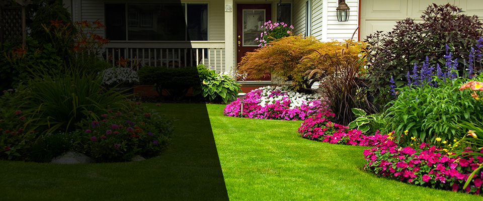 Westley Landscapers