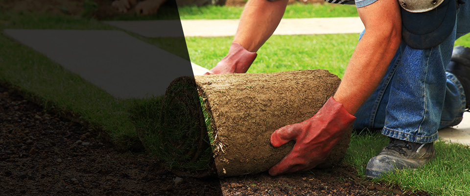 Westley Landscapers